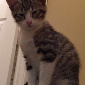 Meet your Posher, Kathy